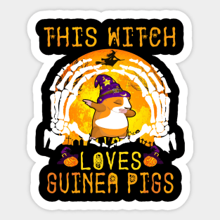 This Witch Loves Guinea Pigs Halloween (113) Sticker